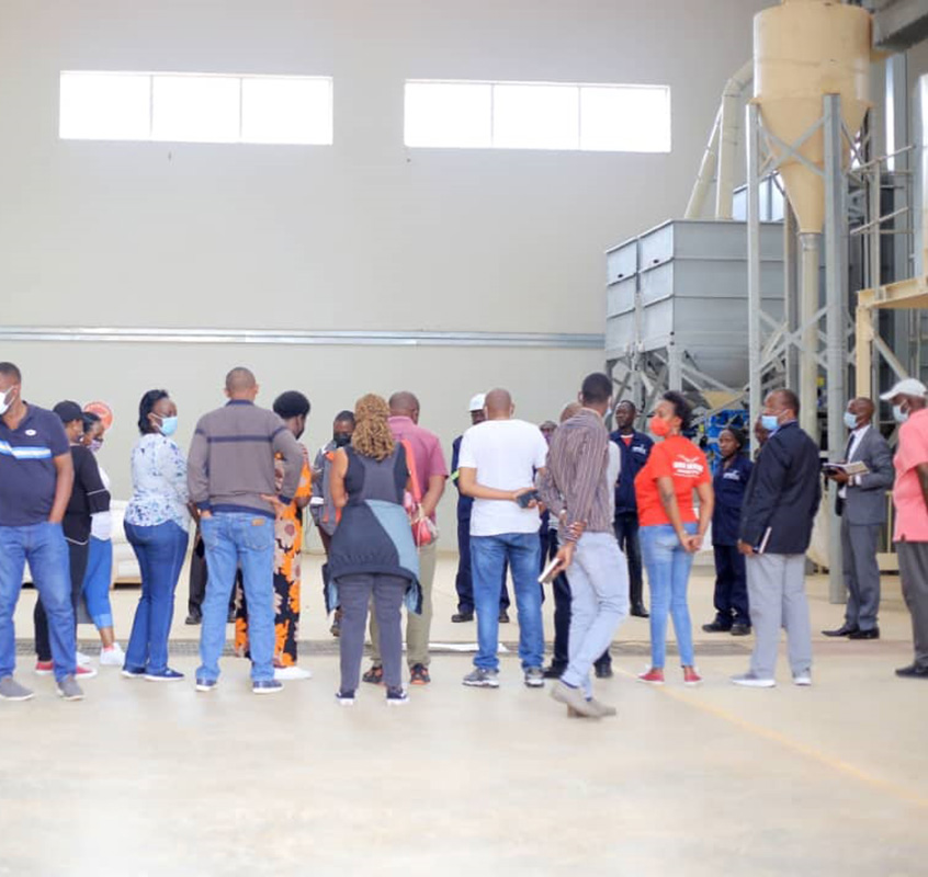 about-sprout-investments